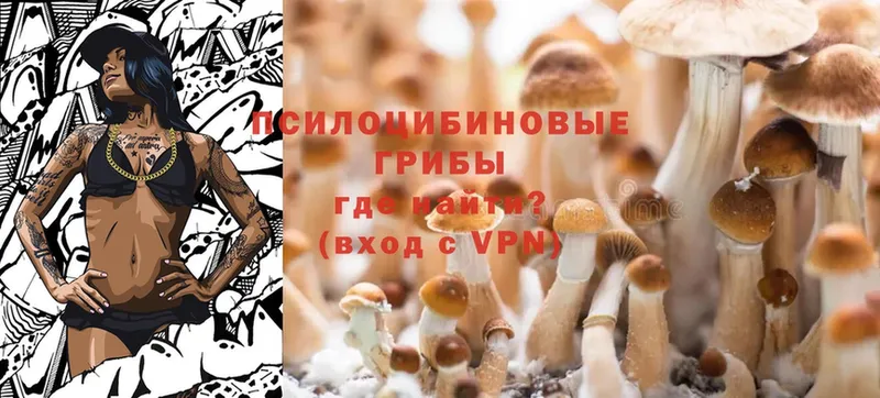 площадка состав  Нижняя Тура  Галлюциногенные грибы Magic Shrooms 